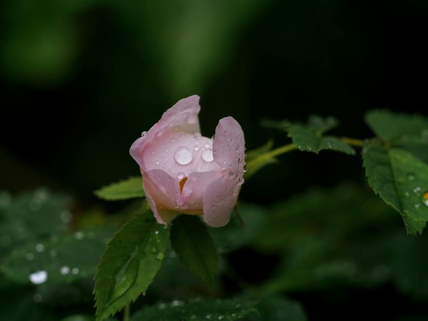 Maximisez l"espace de votre buanderie sous les combles : conseils pratiques pour un aménagement optimal dans un coin restreint